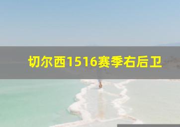 切尔西1516赛季右后卫