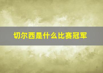 切尔西是什么比赛冠军