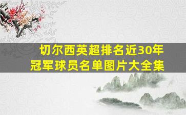 切尔西英超排名近30年冠军球员名单图片大全集