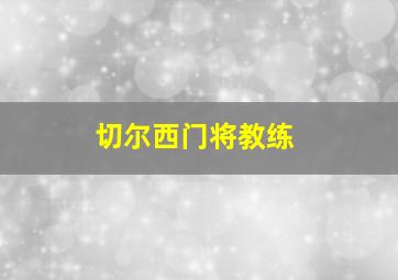 切尔西门将教练