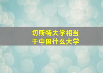 切斯特大学相当于中国什么大学