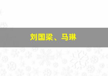 刘国梁、马琳