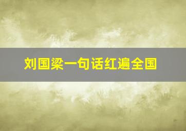 刘国梁一句话红遍全国