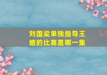 刘国梁单独指导王皓的比赛是哪一集