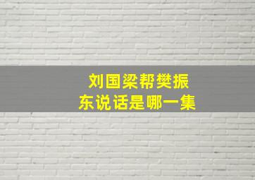 刘国梁帮樊振东说话是哪一集