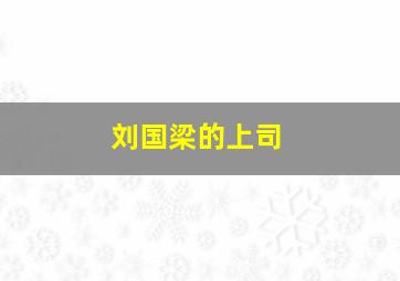 刘国梁的上司