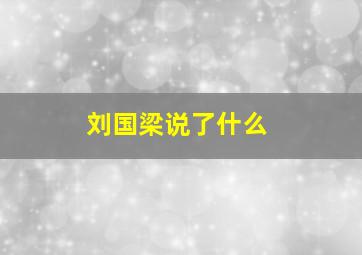 刘国梁说了什么