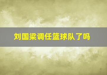 刘国梁调任篮球队了吗