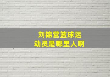 刘锦营篮球运动员是哪里人啊