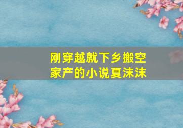 刚穿越就下乡搬空家产的小说夏沫沫