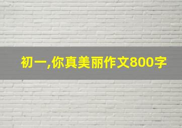 初一,你真美丽作文800字