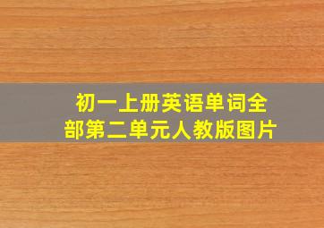 初一上册英语单词全部第二单元人教版图片