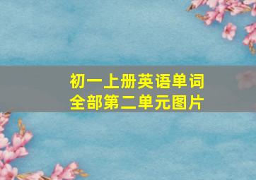 初一上册英语单词全部第二单元图片