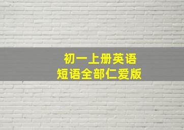 初一上册英语短语全部仁爱版