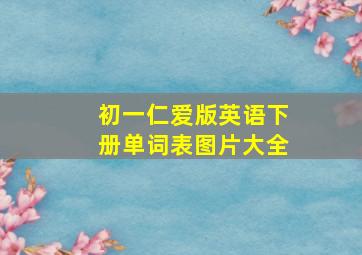 初一仁爱版英语下册单词表图片大全