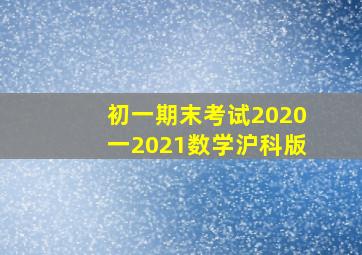 初一期末考试2020一2021数学沪科版