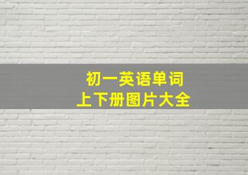 初一英语单词上下册图片大全