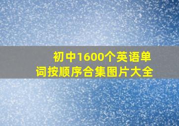 初中1600个英语单词按顺序合集图片大全