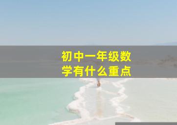 初中一年级数学有什么重点