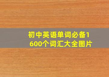 初中英语单词必备1600个词汇大全图片