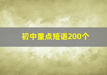 初中重点短语200个