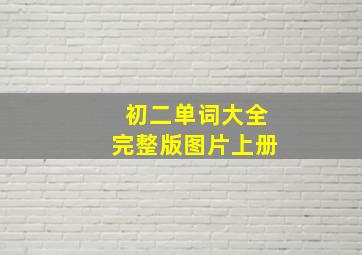 初二单词大全完整版图片上册