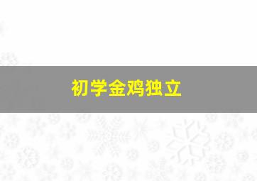 初学金鸡独立