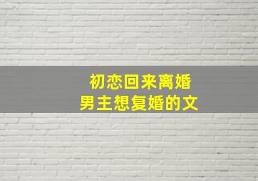 初恋回来离婚男主想复婚的文