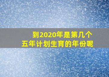 到2020年是第几个五年计划生育的年份呢