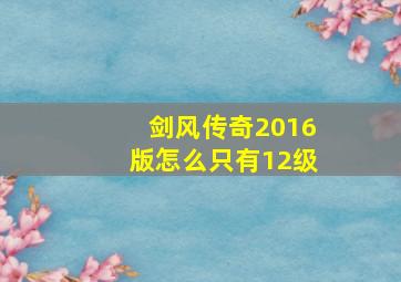 剑风传奇2016版怎么只有12级