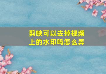 剪映可以去掉视频上的水印吗怎么弄