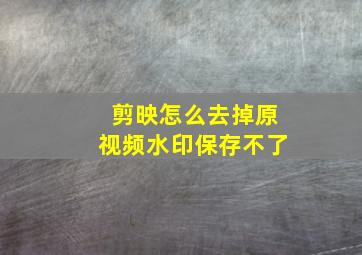 剪映怎么去掉原视频水印保存不了