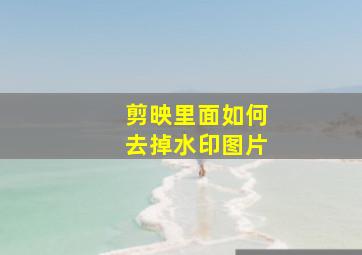 剪映里面如何去掉水印图片