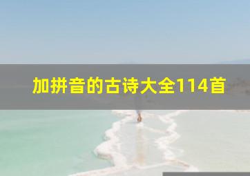 加拼音的古诗大全114首