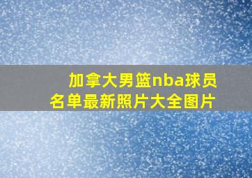 加拿大男篮nba球员名单最新照片大全图片