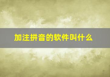 加注拼音的软件叫什么