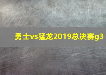 勇士vs猛龙2019总决赛g3