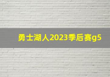 勇士湖人2023季后赛g5