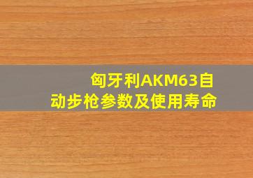 匈牙利AKM63自动步枪参数及使用寿命