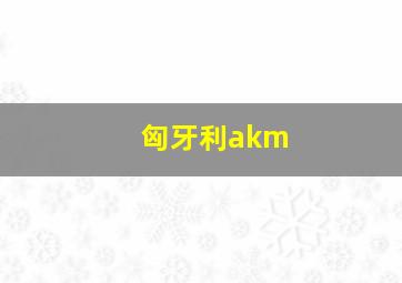 匈牙利akm