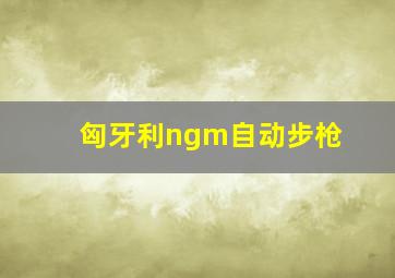 匈牙利ngm自动步枪