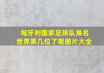 匈牙利国家足球队排名世界第几位了呢图片大全