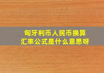 匈牙利币人民币换算汇率公式是什么意思呀