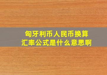 匈牙利币人民币换算汇率公式是什么意思啊