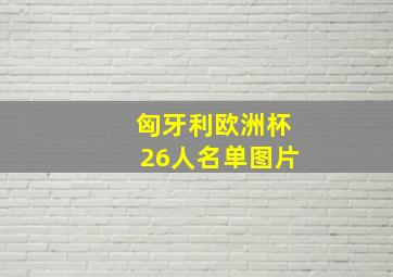 匈牙利欧洲杯26人名单图片