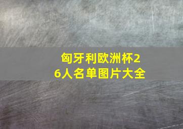 匈牙利欧洲杯26人名单图片大全