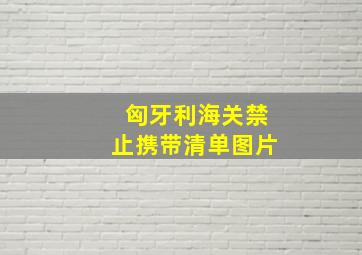 匈牙利海关禁止携带清单图片