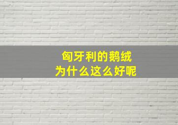 匈牙利的鹅绒为什么这么好呢