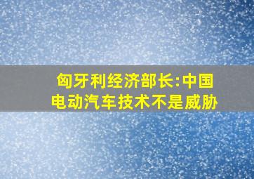 匈牙利经济部长:中国电动汽车技术不是威胁