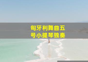 匈牙利舞曲五号小提琴独奏